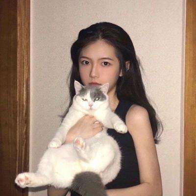动人星弦手游下载